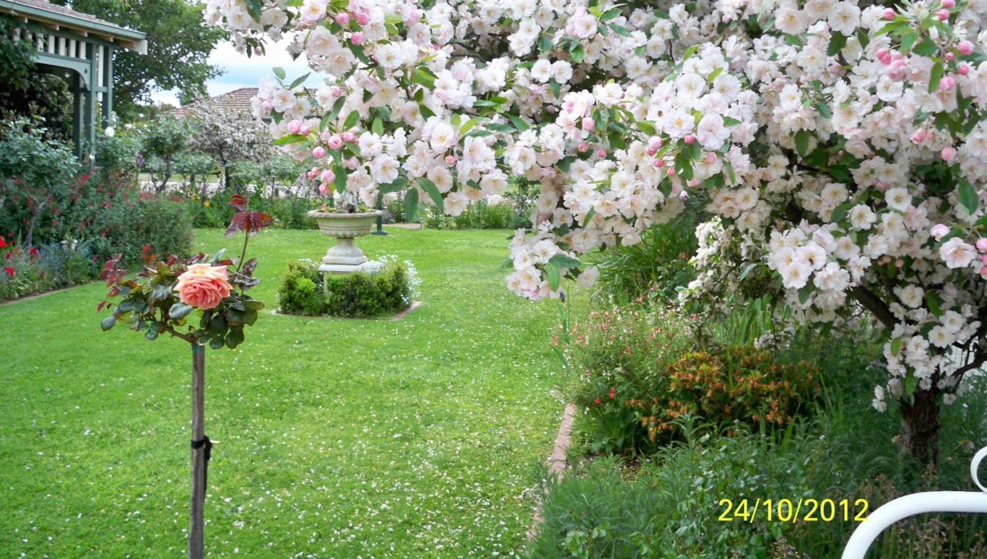 Dalfruin B&B Bairnsdale Extérieur photo
